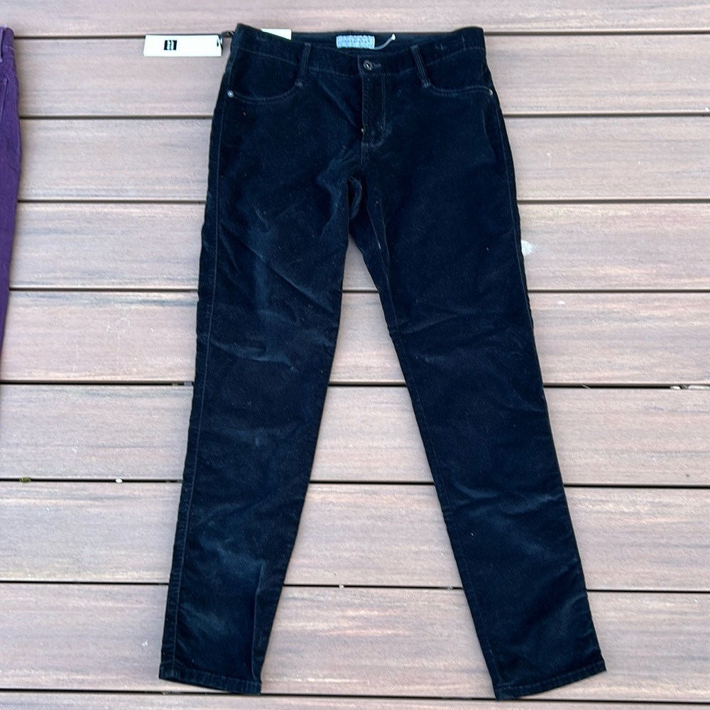 NWT Velveteen James Jeans Twiggy